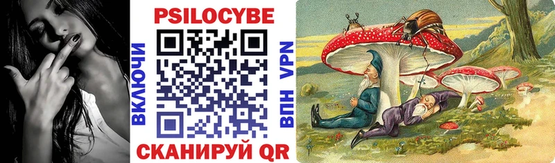 Псилоцибиновые грибы ЛСД  kraken зеркало  Салаир 